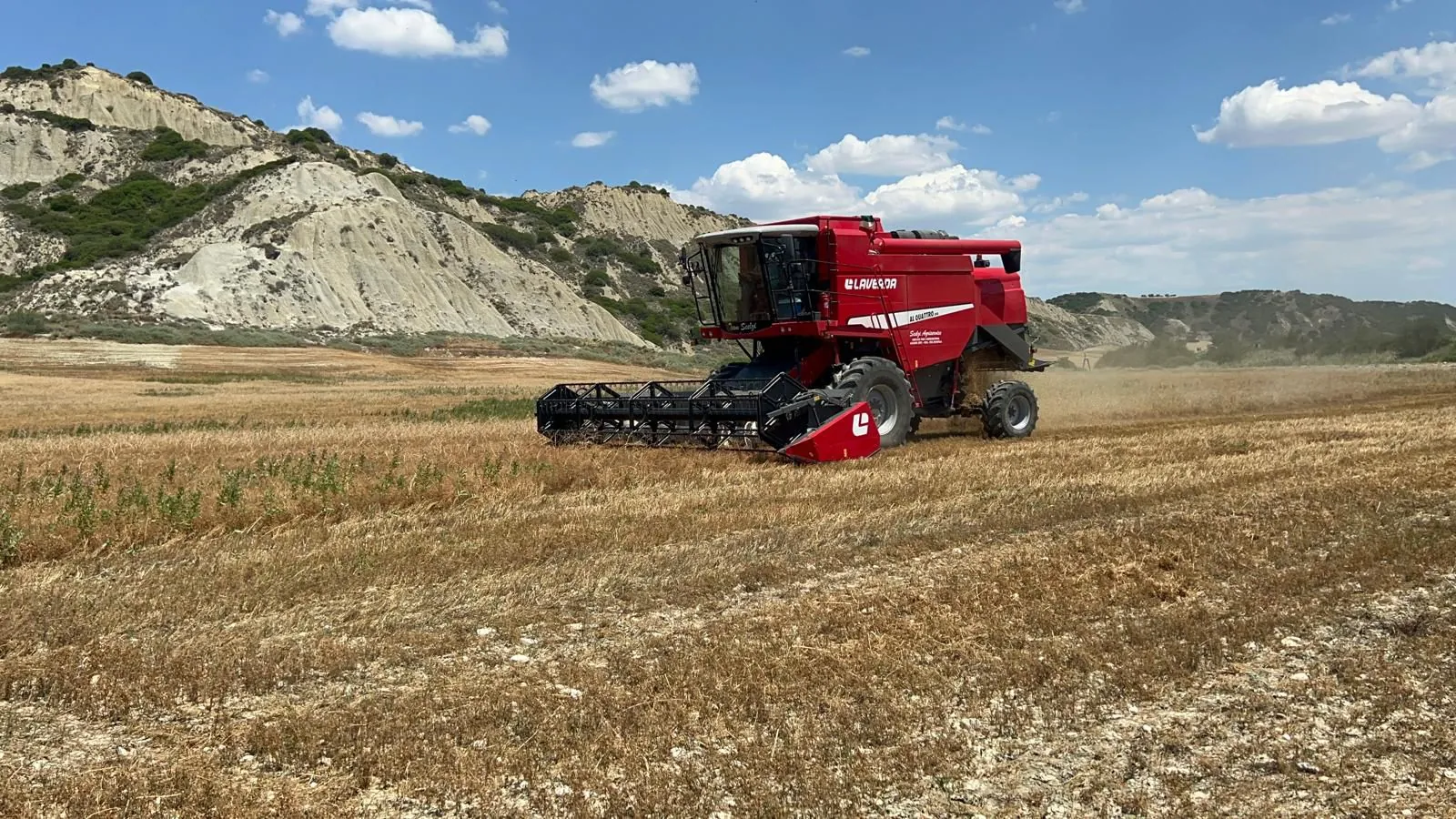 La mietitura del grano tra i calanchi di Aliano