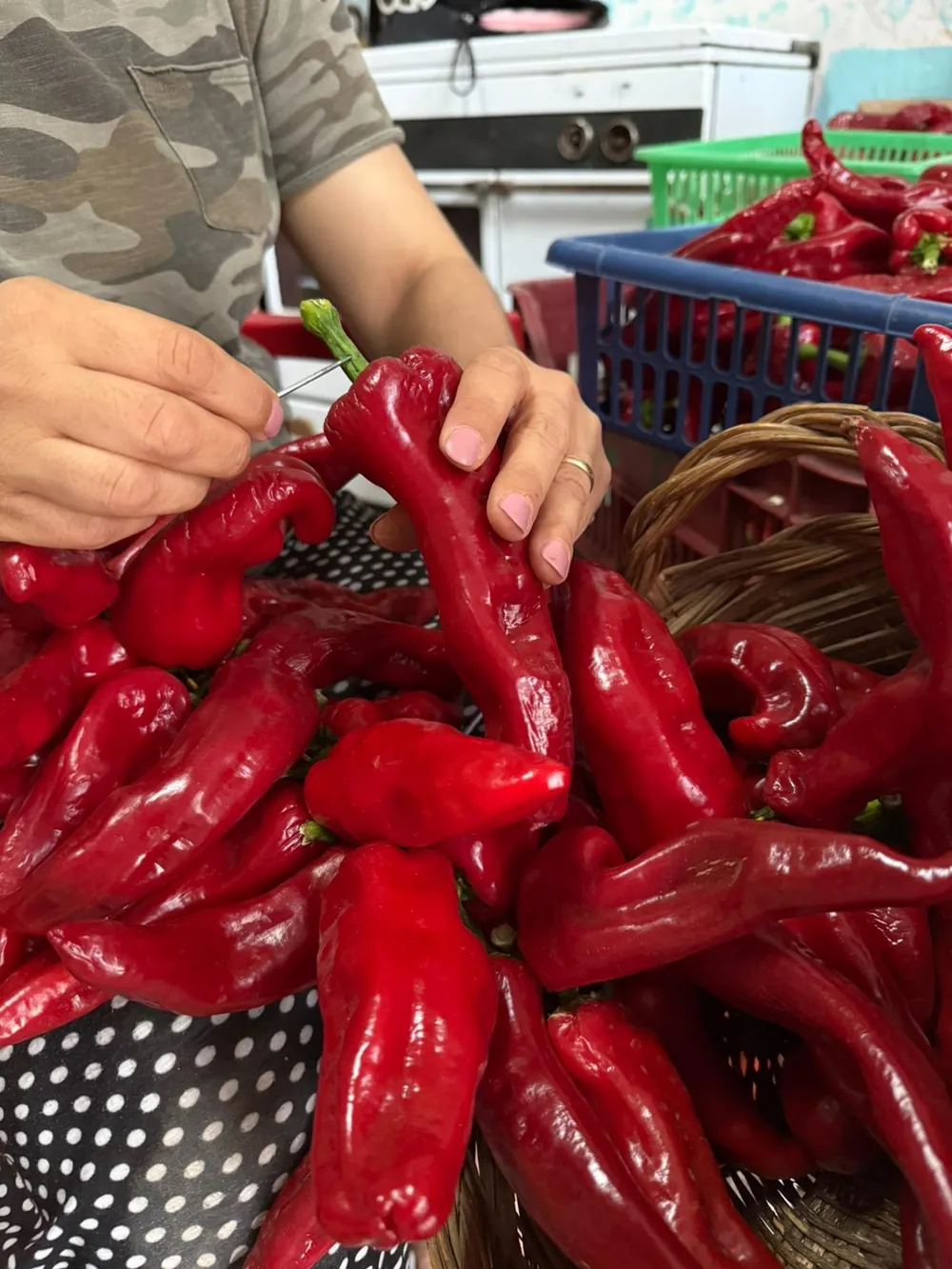 Peperoni appena raccolti